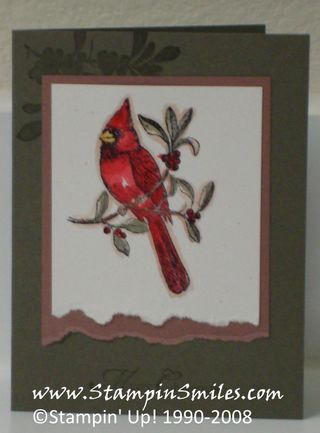 Cardinal_Christmas