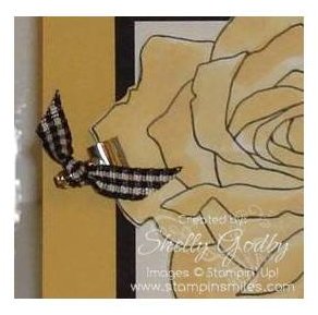 Library_Clip_Close_Up