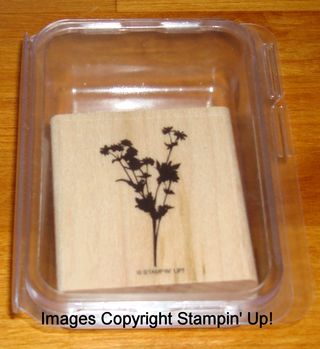 Flowers_in_Silhouette