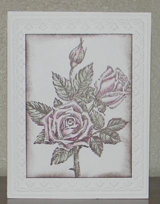 Stipple_Rose