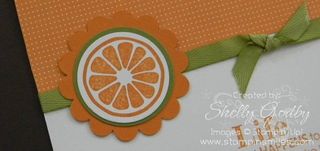 Tart_and_Tangy_Orange_close_up