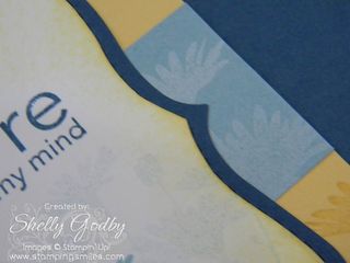 Upsy_Daisy_close_up_on_white