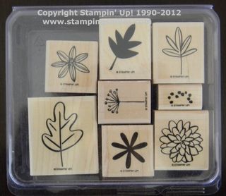 Fall_Flair Fall_Flair