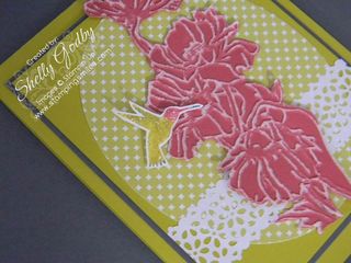 Bloomin_Marvelous_hummingbird