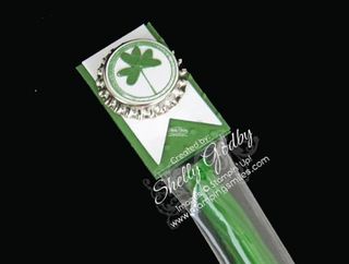 Every_Little_Bit_Pattys_Day Project